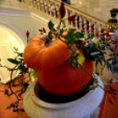 A legszebb kerteket, balkonokat és rajzokat díjazták