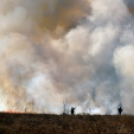 Száraz növényzet égett