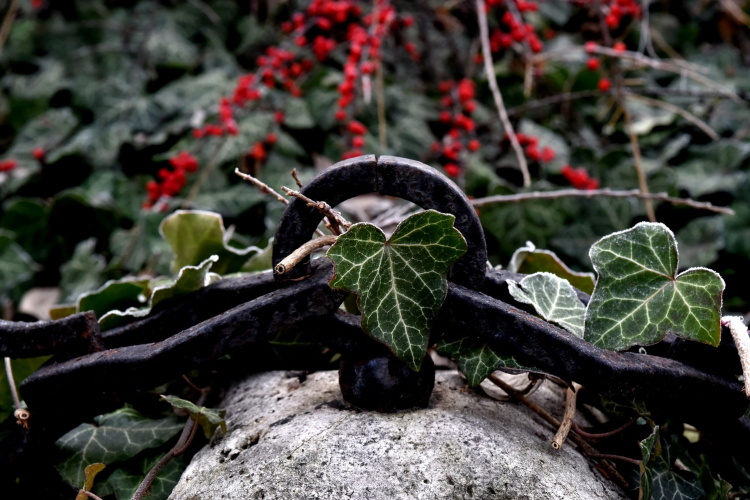 Megemlékezés a doni katasztrófa áldozatairól