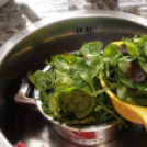 Boszorkánykonyha I.