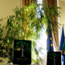 Könyvbemutató: Zöldellő egyház