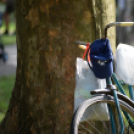 Szent István ünnepe a Gubody kertben