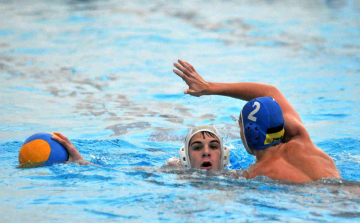 Csirkefogók Cegléden