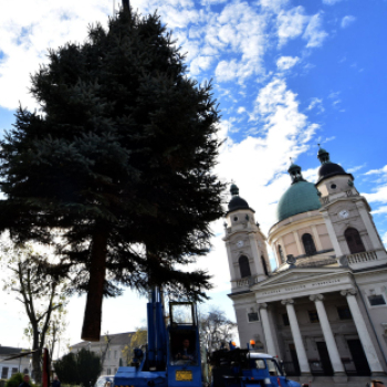 Karácsonyi készülődés a Szabadság téren