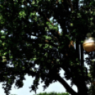 Szépkorúaknak szerveztek sportnapot