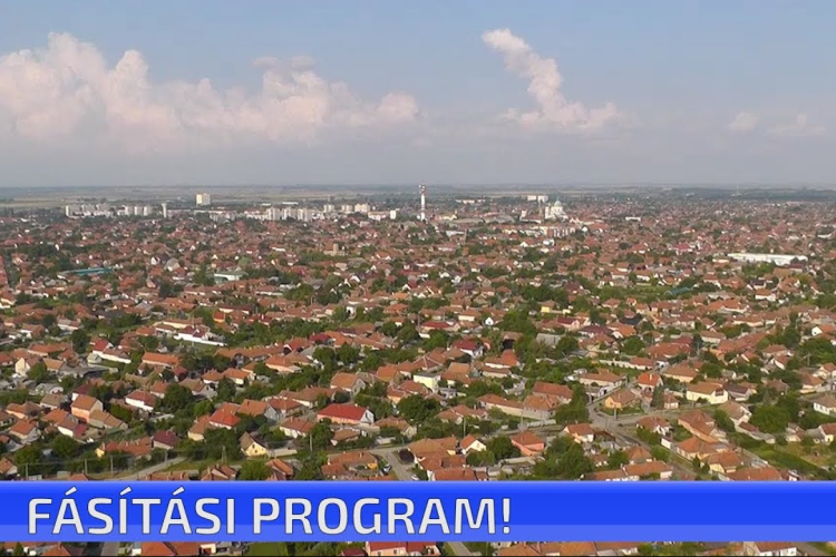 Fásítási program - ingyenes facsemetékre lehet pályázni Cegléden