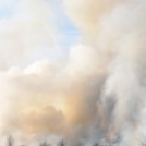 Száraz növényzet égett