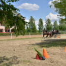 Ahol még a lovak is asztalhoz ülnek...