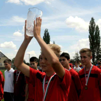 CVSE foci éremosztó