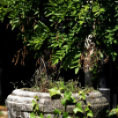 Gyászistentisztelet a temetőben