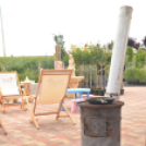 Rózsák Hétvégéje - Oázis Kertészeti Áruház