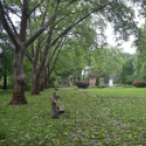 Viharkárok a Ceglédi térségben 