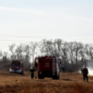 Száraz növényzet égett