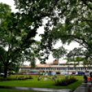 Idén is népszerű volt a Testébresztő Fesztivál Cegléden