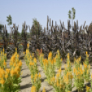 Kováts Zoltán Emlékülés Csemőben