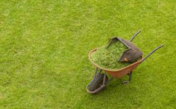 INGYENES ,,zöld napok’’ Cegléden 