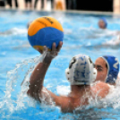 Ceglèdi Vasutas Sport Egyesület - Csabai Csirkefogók VK  (Bèkèscsaba)  9 - 8 