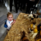 Betlehemi jászol pályázat