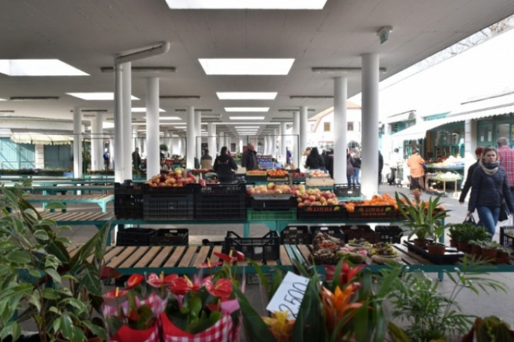 Polgármesteri tájékoztató