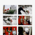 Ez történt Cegléden 2013 