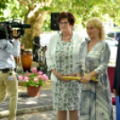 Díjak, előléptetések a Semmelweis napon