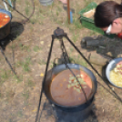 Bor és laskafesztivál - I