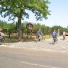 Nyitott Pince Napok - Kökény és Fia Családi Borászat