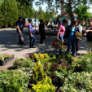 Csemői - Anyám tyúkja