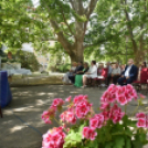 Díjak, előléptetések a Semmelweis napon