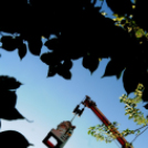 Rejtek a ceglédi kórházban