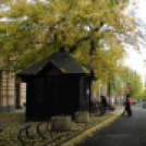 Halló Cegléd! - Kisfaludi István fotósorozata