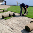 Füvesítik a strandot