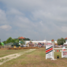 Bor és laskafesztivál - II