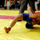 Ceglédi Birkózó OB