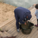 Éhmann Ferenc Emlék Kupa