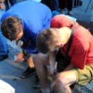 Múzeumok éjszakája 2014