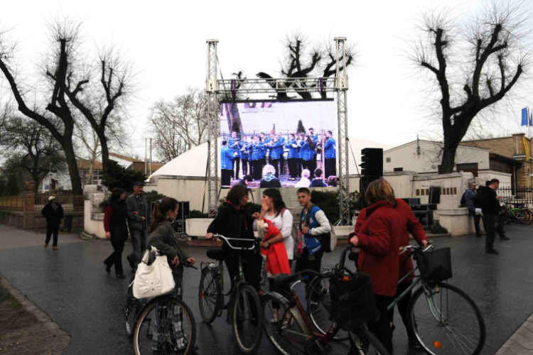 Cegléd Városi Sportuszoda avató