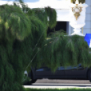 Nizzai pillanatképek