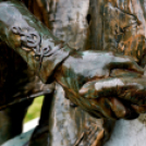 Március 15-i ünnepségek