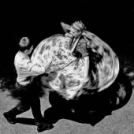 MAFOSZ kiállítás képei