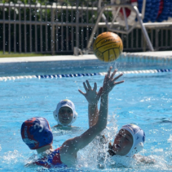 Győzelemmel kezdett a ceglédi csapat