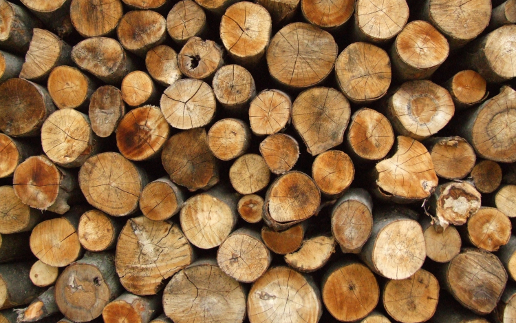 A csaló faárusok idén sem kerülik el Ceglédet