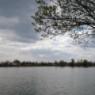 Éhmann Ferenc Emlék Kupa