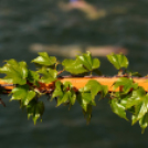 Városi Strand - Akkor és Most