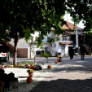 Idősek napja a Szociális Otthonban