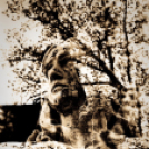 ,,Tudom e mérni a mérhetetlent’’