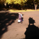 Halló Cegléd! - telefonfotók