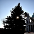 Feldíszítették a város karácsonyfáját