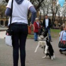 Autizmus Világnapja Cegléden