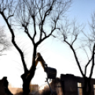 Rákóczi úti épületbontás II.